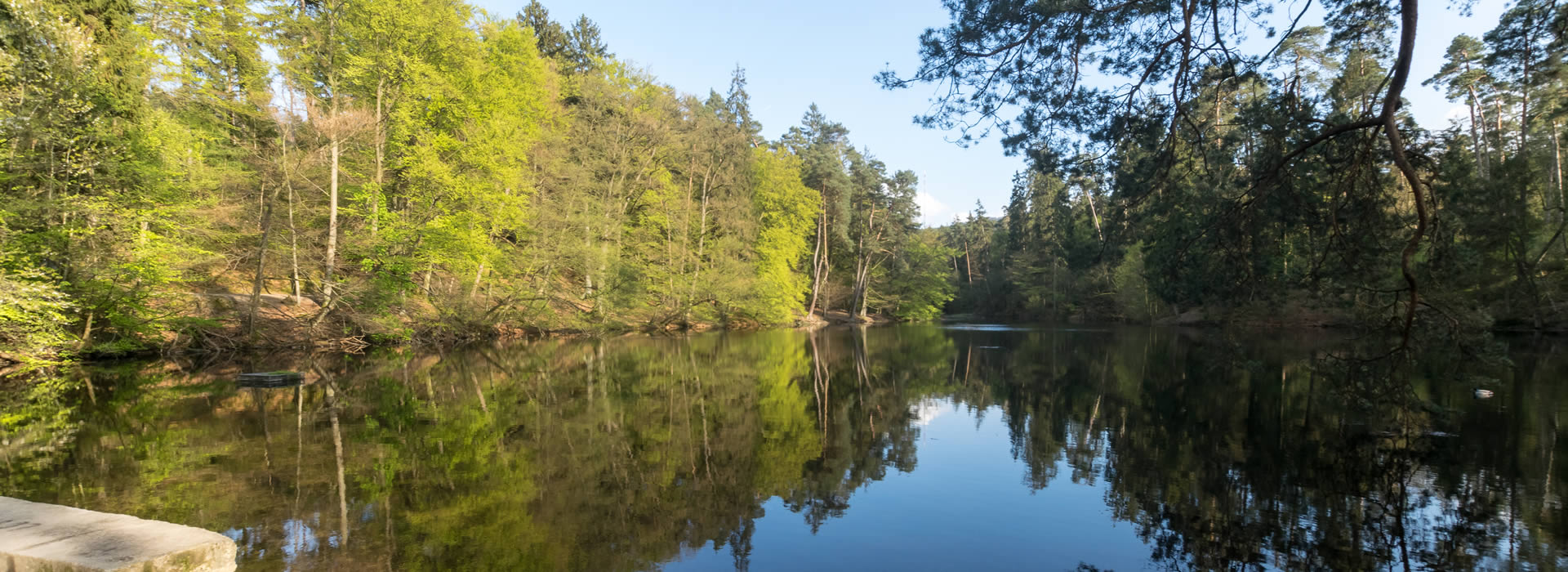 donoperteich